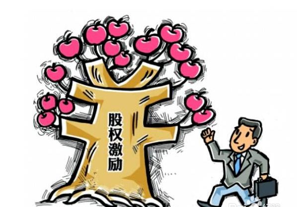 股权激励的本质分析(图1)